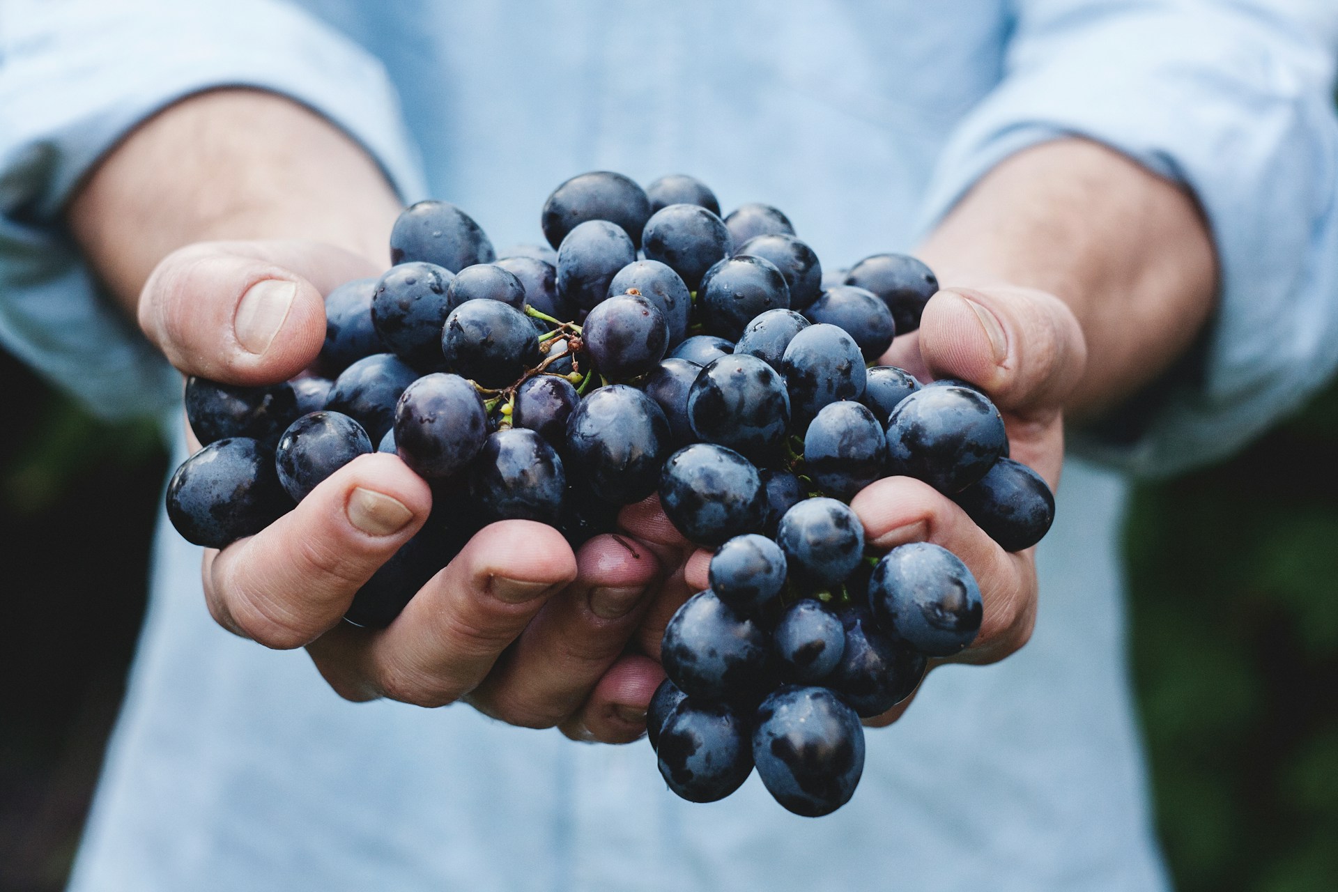 Formación Básica En Higiene Alimentaria: Food Defense, APPCC, Limpieza y Desinfección (INAD016PO)